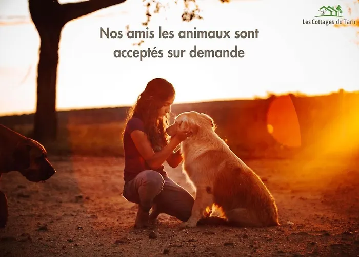 Le Nature Vigne Rouge Clim Gaillac Entre Albi-toulouse & Les Du Tarn