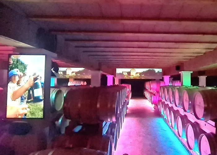 Le Nature Vigne Rouge Clim Gaillac Entre Albi-toulouse & Les Du Tarn