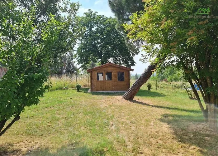 Le Nature Vigne Rouge Clim Gaillac Entre Albi-toulouse & Les Du Tarn بيت للعطل *