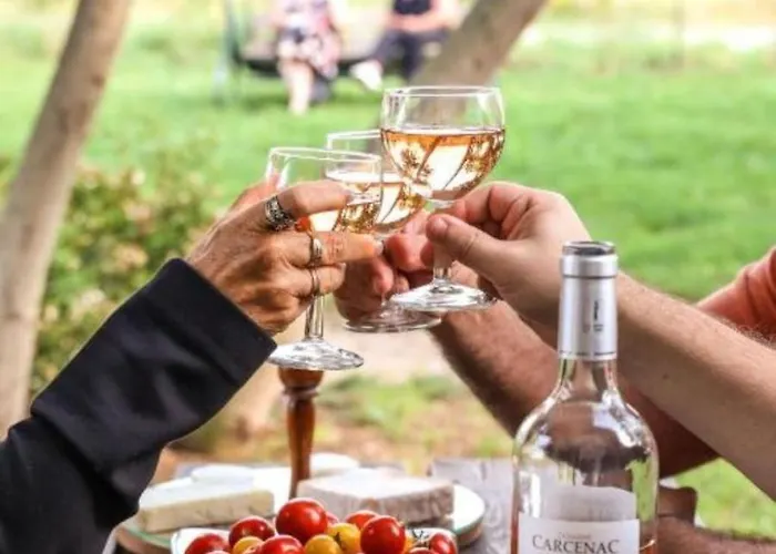 بيت للعطل Le Nature Vigne Rouge Clim Gaillac Entre Albi-toulouse & Les Du Tarn