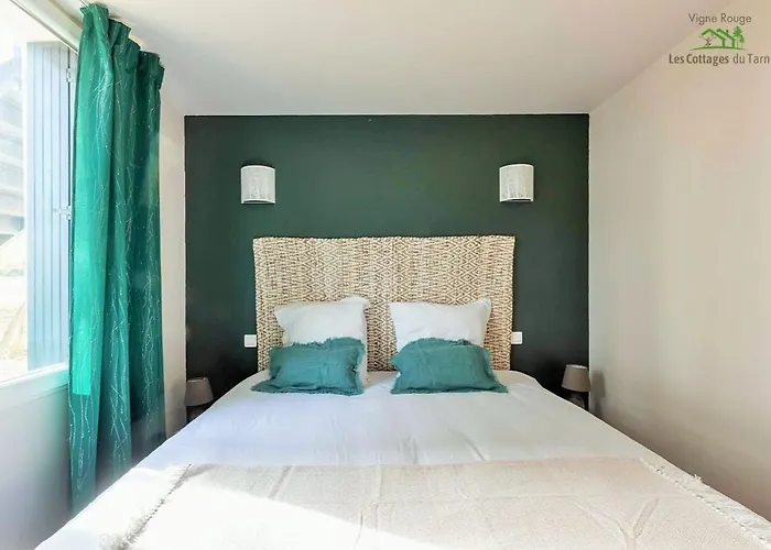 Le Nature Vigne Rouge Clim Gaillac Entre Albi-toulouse & Les Du Tarn