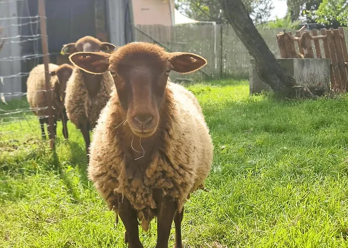 Le Nature Vigne Rouge Clim Gaillac Entre Albi-toulouse & Les Du Tarn بيت للعطل