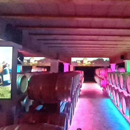 Le Nature Vigne Rouge Clim Gaillac Entre Albi-toulouse & Les Du Tarn