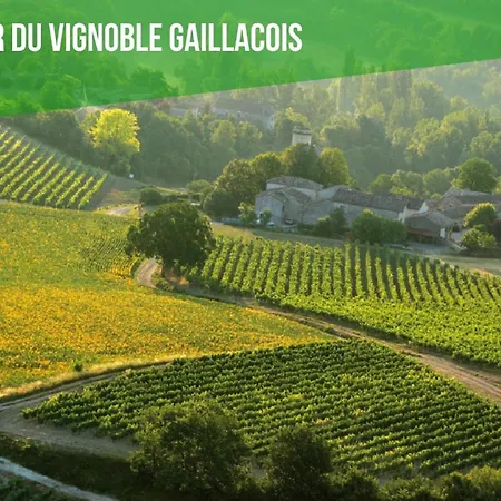 Feriehus Vigne Rouge Sauna Nature Gaillac Lescottagesdutarn