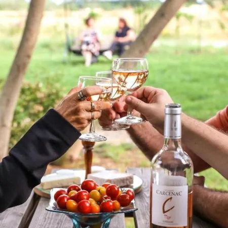 Tatil Evi Le Nature Vigne Rouge Clim Gaillac Entre Albi-toulouse & Les Du Tarn