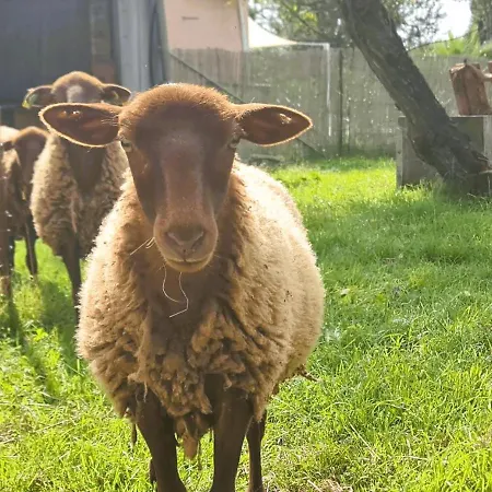 Le Nature Vigne Rouge Clim Gaillac Entre Albi-toulouse & Les Du Tarn Tatil Evi