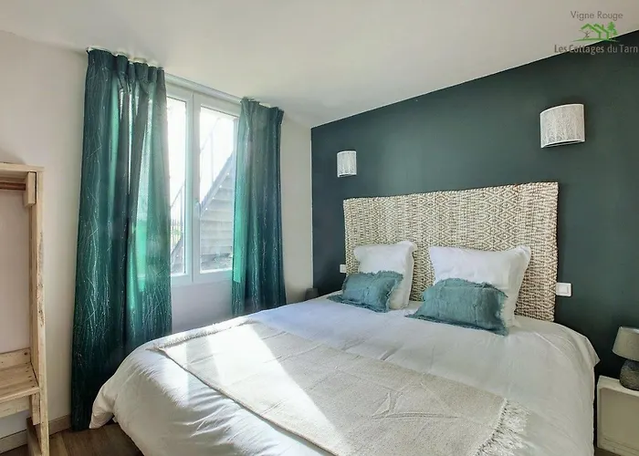 Le Nature Vigne Rouge Clim Gaillac Entre Albi-toulouse & Les Du Tarn Brens (Tarn)