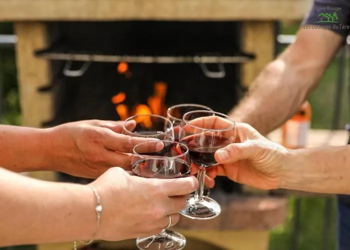 Le Nature Vigne Rouge Clim Gaillac Entre Albi-toulouse & Les Du Tarn Brens (Tarn)